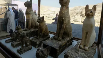 Objev hrobky s kočičími mumiemi