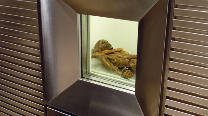 Ötzi ve své speciální "rakvi"