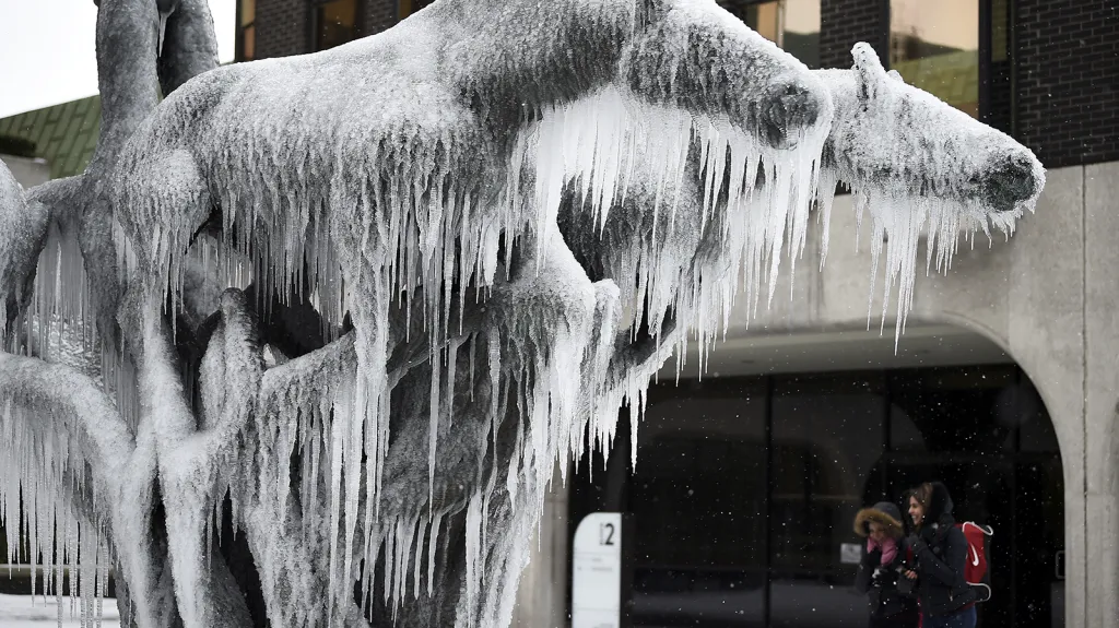Sousoší koňského páru sevřené vrstvou ledových rampouchů v centru irského Dublinu