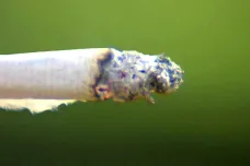 Tabáková epidemie se zastavila, hlásí Světová zdravotnická organizace. Poprvé ubylo kuřáků