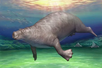 Byl to hrocho-kapustňák. Paleontologové popsali bizarního pravěkého savce