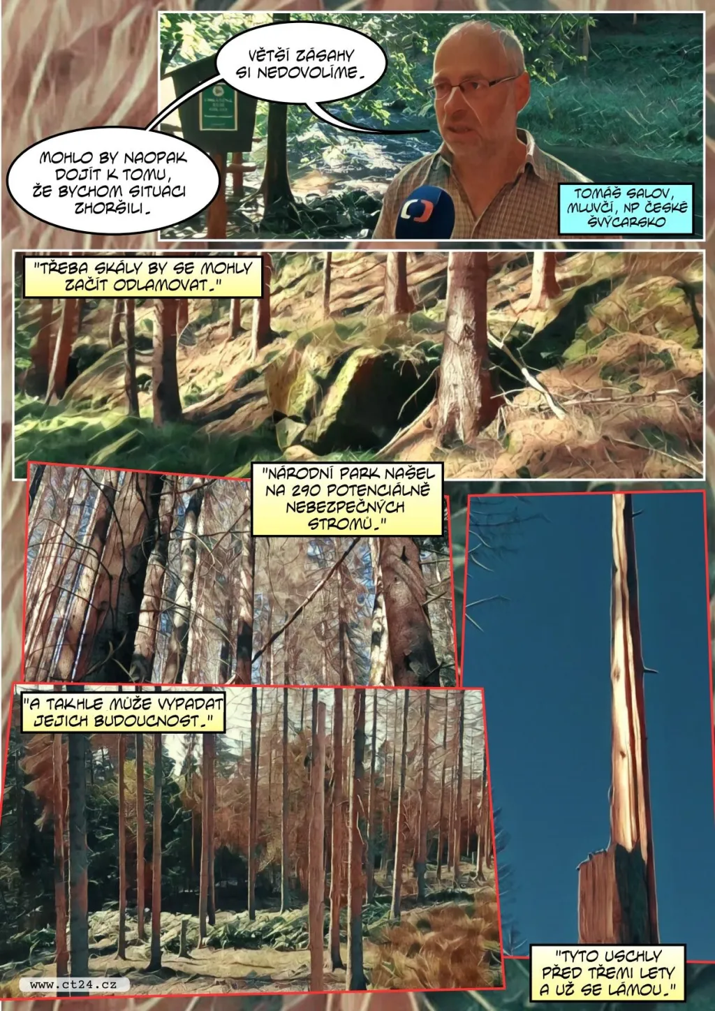 Kůrovec v Českém Švýcarsku