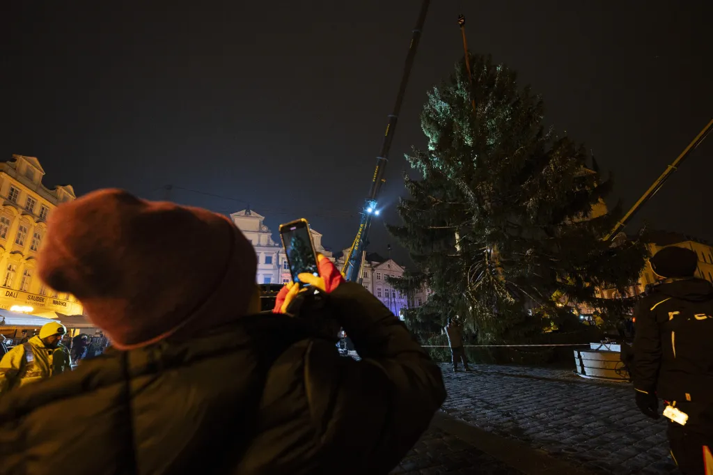 Na pražském Staroměstském náměstí ukotvili vánoční strom