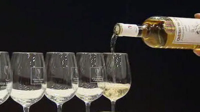 NO COMMENT: Hodnocení vzorků v Salonu vín