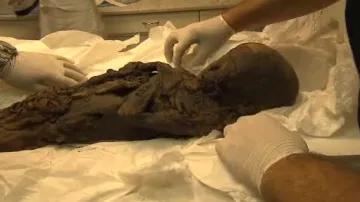 Výzkum egyptských mumií