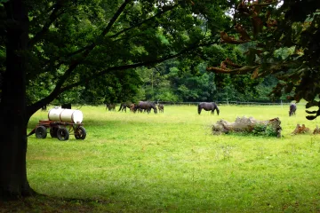 Slatiňany pro koňáky i pro pěší