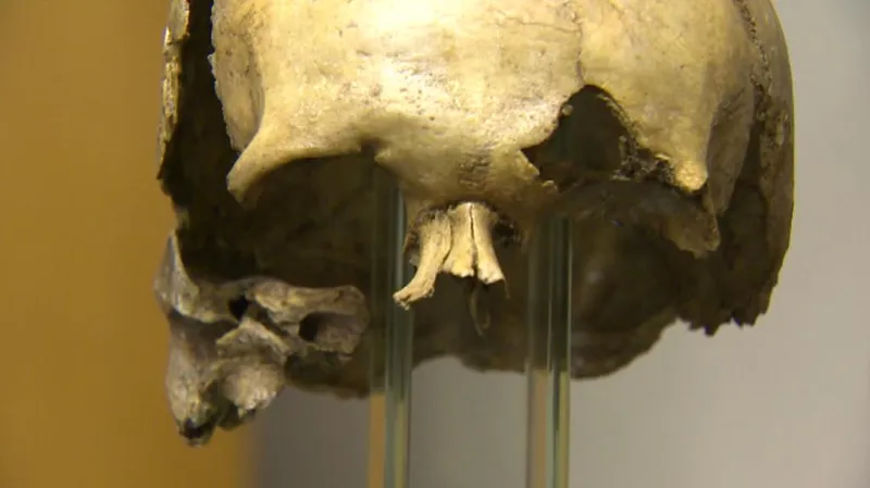 Čáslavská kalva v muzeu v Písku