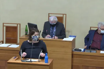 Senát potvrdil opatření na zmírnění koronavirové krize. Hladce prošlo pozastavení EET i rozšíření ošetřovného