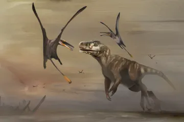 Okřídlený „drak“ ze Skotska byl největším ptakoještěrem své doby