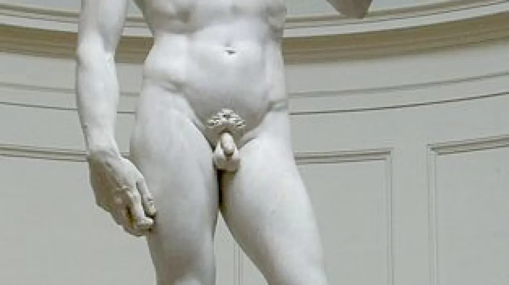 Michelangelův David