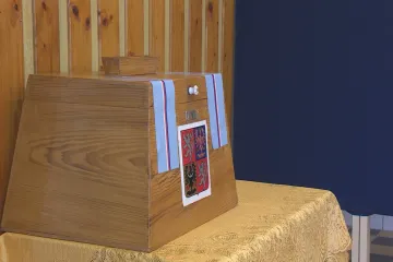 Starožitná urna, hlasování v krojích i ve věznici. Volby provází i některé kuriozity