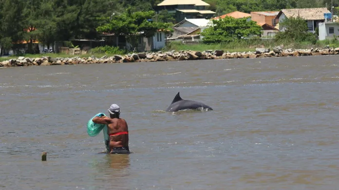 Spolupráce delfínů a lidí při lovu