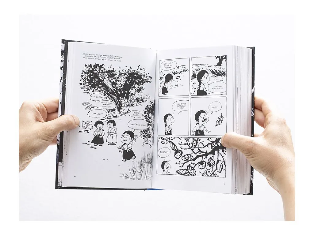Komiksový román jihokorejské autorky Kim Kumsuk přináší příběh dívky sexuálně zotročené během druhé světové války