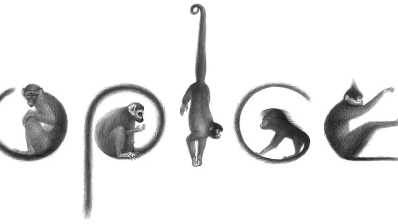 Z knihy Petr Nikl: Jino taje opic