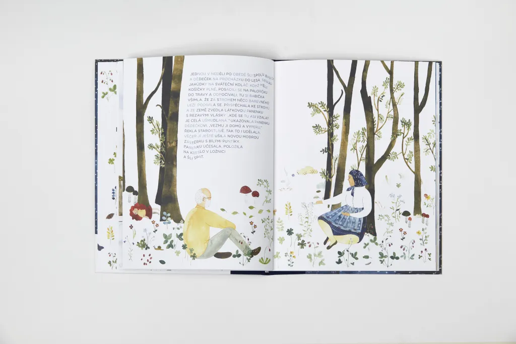 Mezi ilustrátory vynikli Veronika Vlková a Jan Šrámek, autoři dětské knihy Apolenka z modrotisku