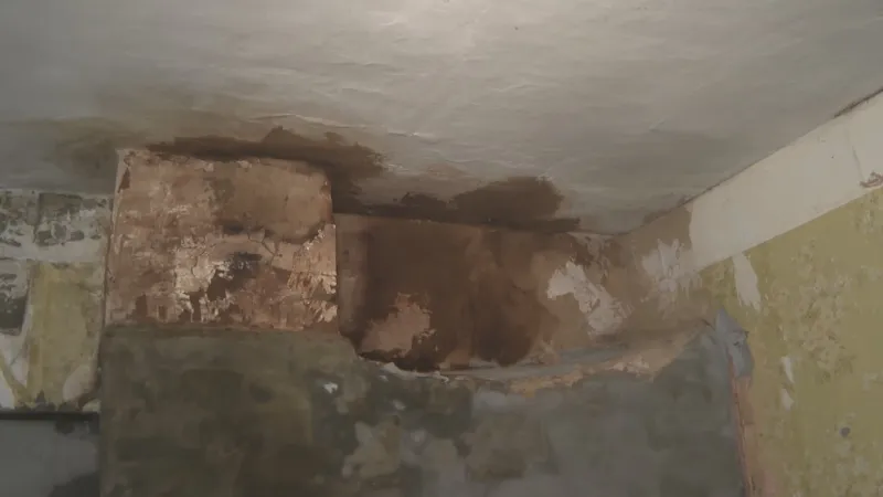 Zdi vyplavených domů v Chersonu jsou pokryté plísní