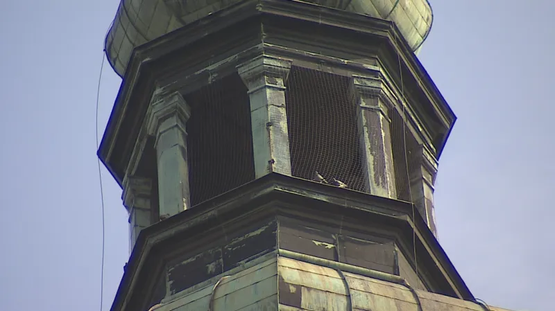 Holubí trus ničí památky