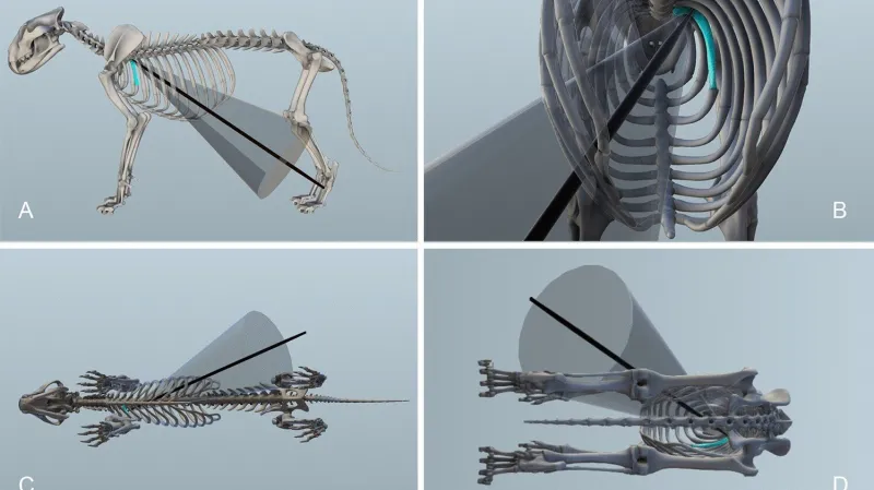 Analýza jeskynního lva uloveného neandertálskou zbraní