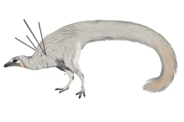 Vědci objevili bizarního dinosaura. Měl hřívu a anténky