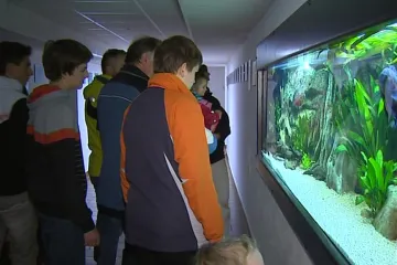 Muzeum ve Vodňanech představuje amazonské ryby