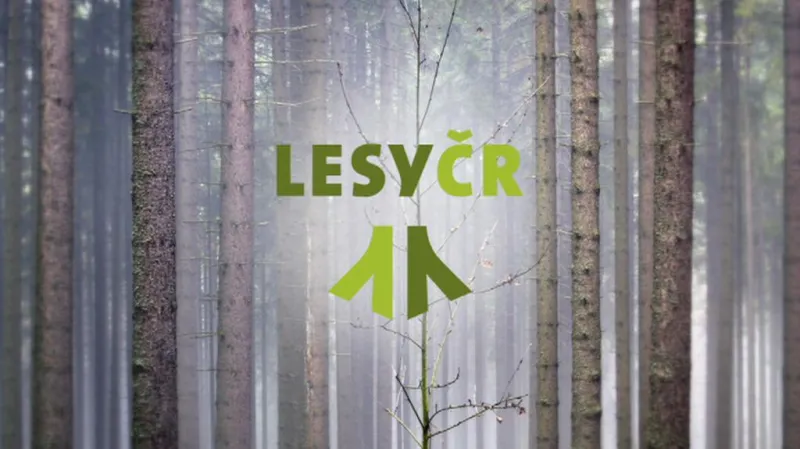 Lesy ČR