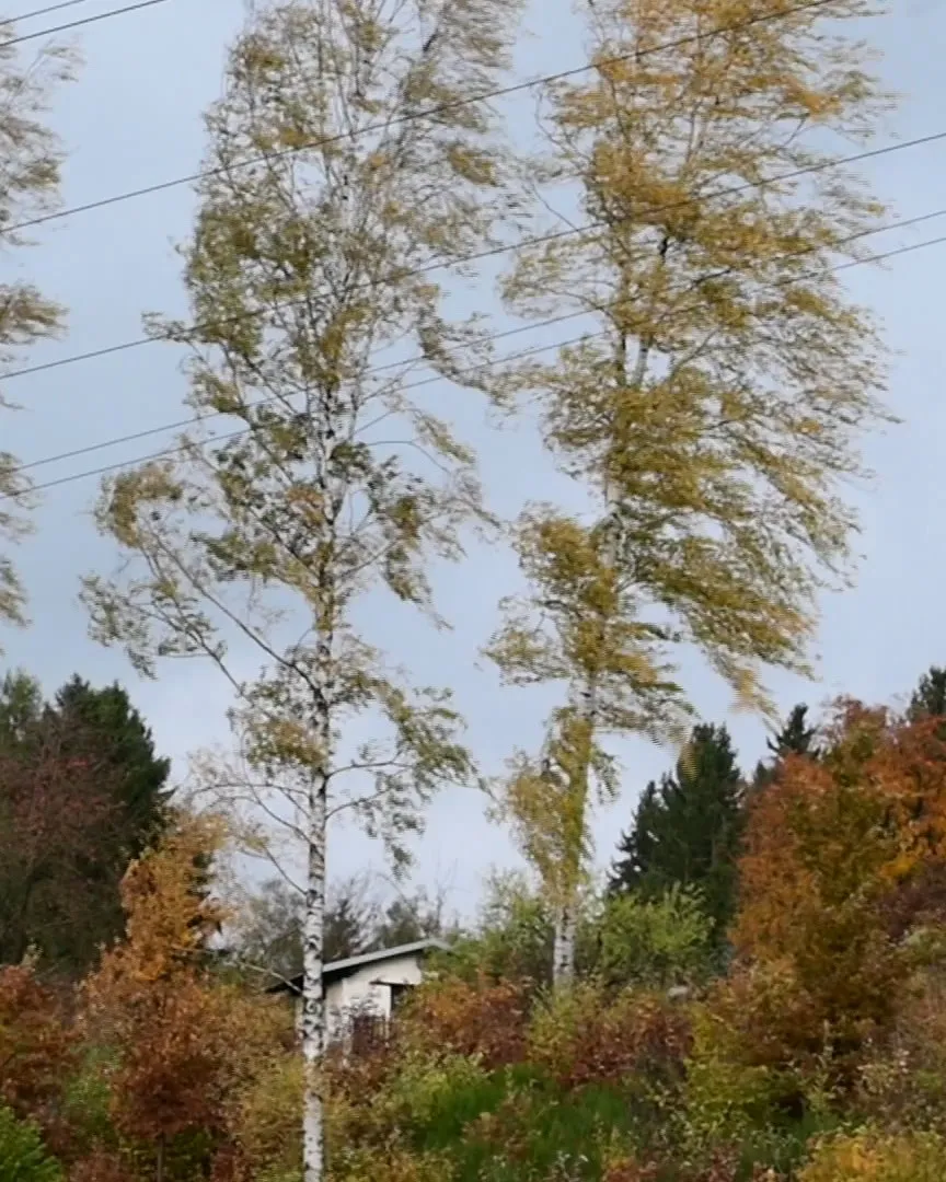 Na Vysočině a severu Čech se čeká od neděle silný vítr