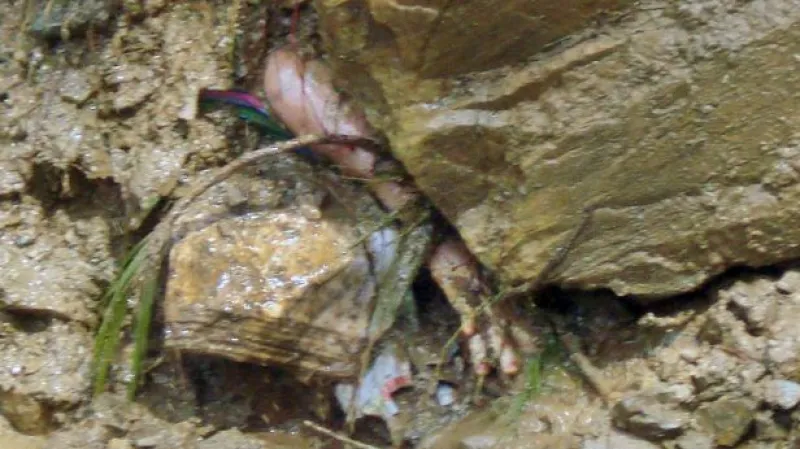 Indii zasáhly ničivé povodně