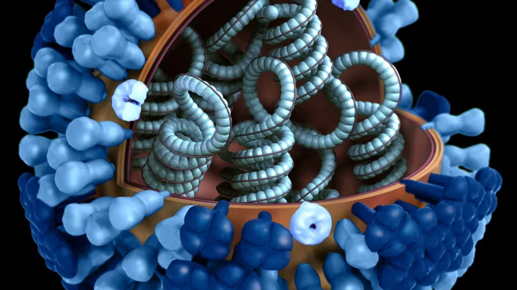 Vizualizace viru chřipky