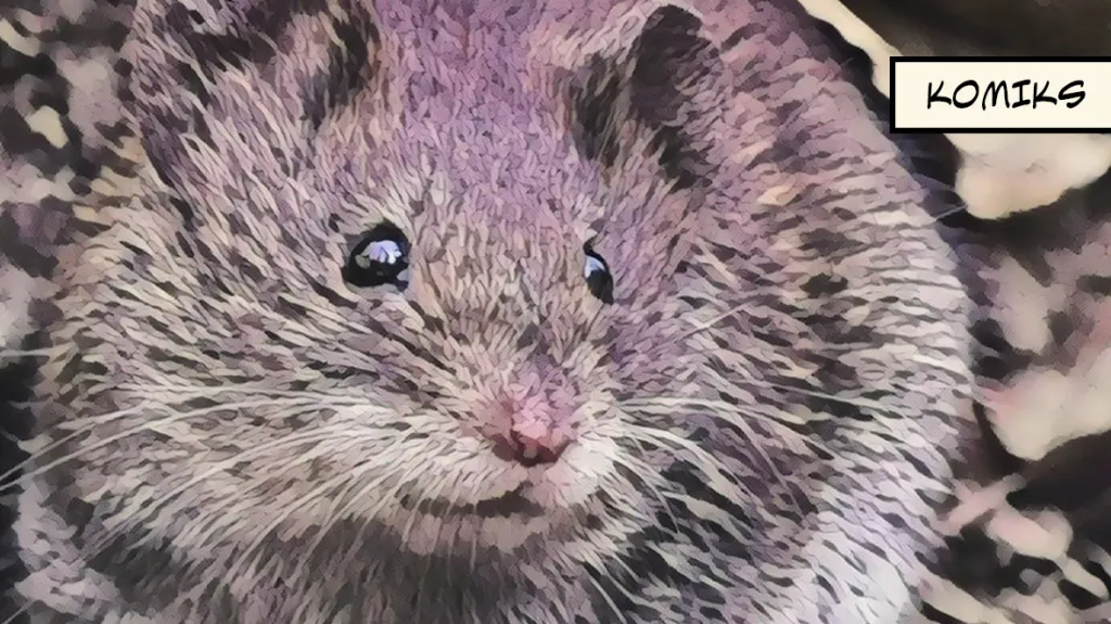 Záplava myší vyhnala v Austrálii vězně i jejich dozorce. Hlodavci poničili bezpečnostní systém