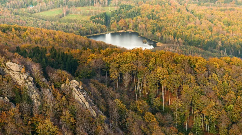 Šolcův rybník v bučinách Jizerských hor