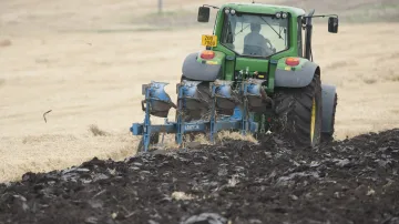 Solidní sklizeň už snižuje ceny na Plodinové burze