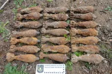 V lese na Písecku našel řidič dvacítku min opřených o pařez. Po „majiteli“ už policie pátrá
