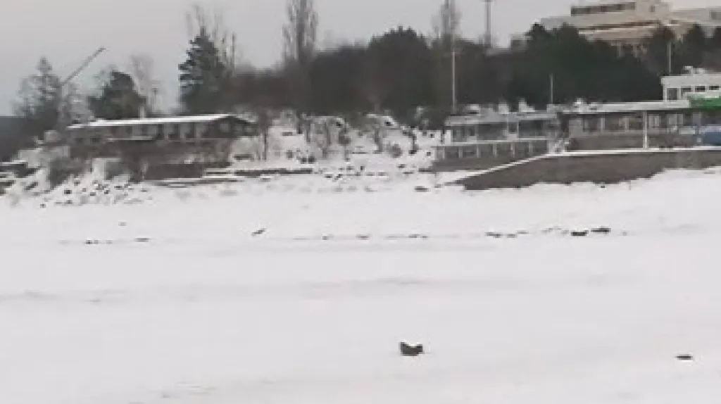 Brněnská přehrada