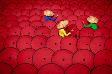 Tváří v tvář hyeně, kouzlo mořských koníků i jeptišky na výletě. Fotosoutěž Sony zveřejnila to nejlepší