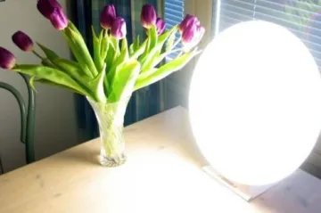 Další pokrok ve studiu sezónních depresí