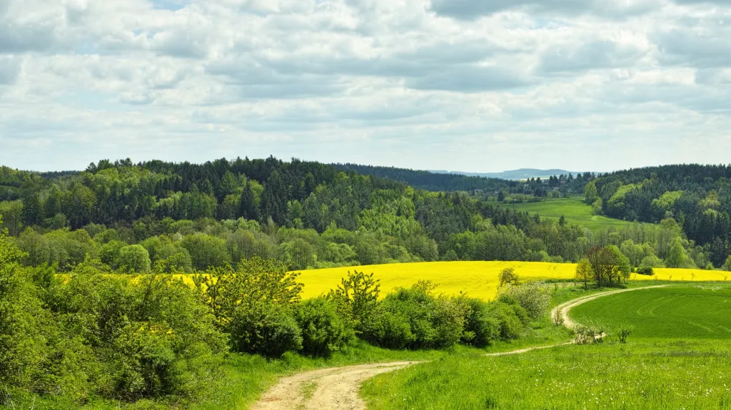 Příroda má jedinečnou schopnost obnovy vyčerpané pozornosti