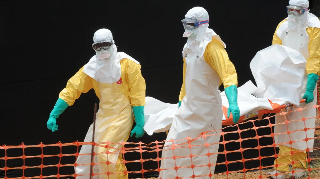 Ebola v Africe