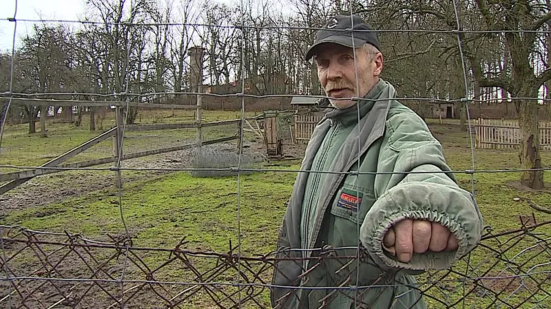 Majitel tvrdí, že zvířata překrmili kolemjdoucí