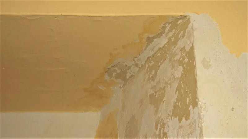 Stávající budova je vlhká a nevyhovuje