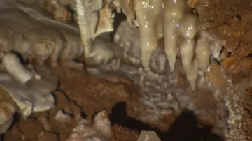 Jeskyně je zajímavá i pro mineralogy