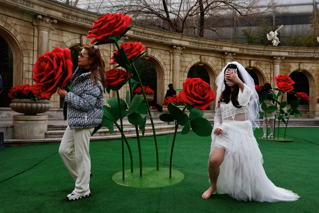 O nejlepší fotografii u obřích umělých růží se snaží lidé v čínském Pekingu