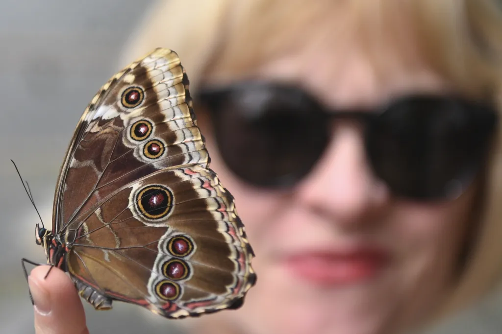 Botanická zahrada hl. m. Prahy slaví 50 let