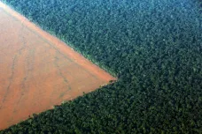 Odlesňování Amazonie v Brazílii zrychlilo. Situace je alarmující, připouští tamní ministr životního prostředí