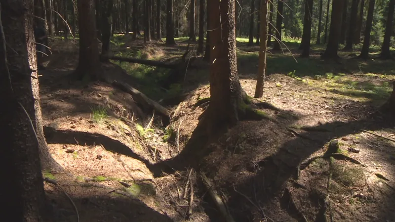 Část Vršovské Olšiny, odkud je odváděna voda