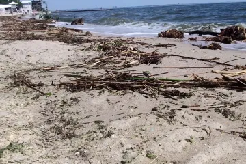 Наслідки знищення Каховської ГЕС для Чорного моря 