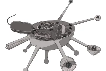 Čeští vědci objevili neznámého prvoka s unikátními vlastnostmi