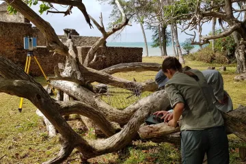 Čeští vědci prozkoumali zaniklá svahilská města, teď vytváří jejich 3D modely