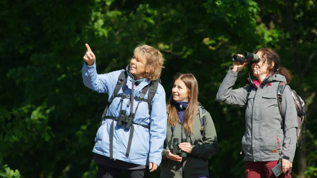 Kurz určování ptáků