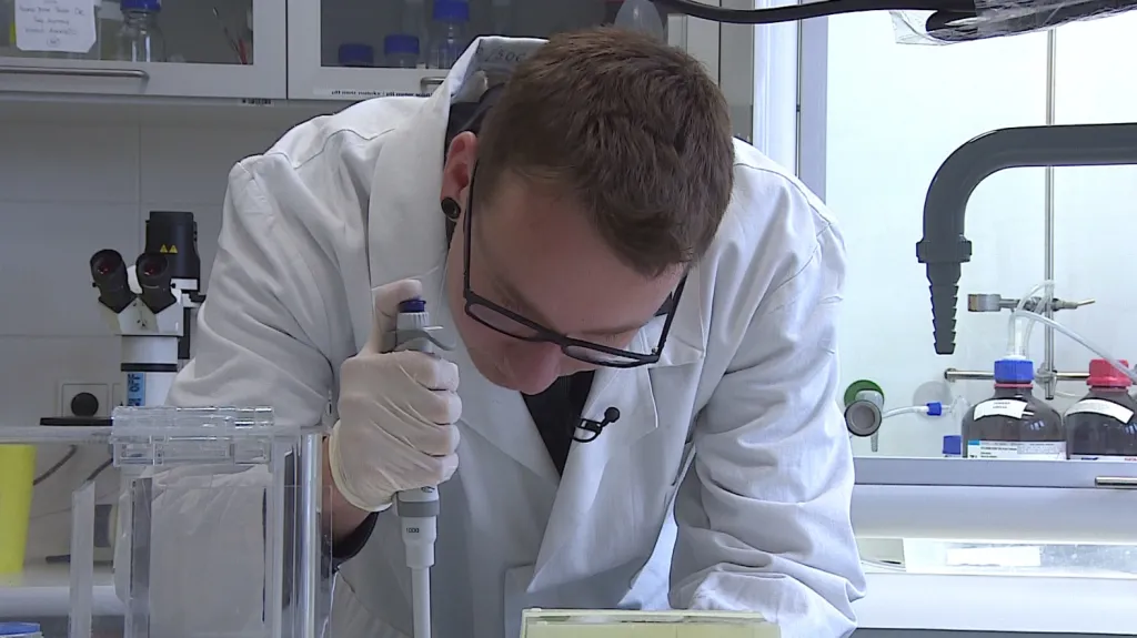 Mladý vědec zkoumá toxicitu sinic