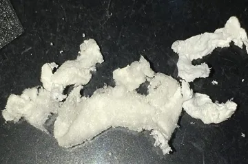 Vědci vyšlechtili bakterie, které se živí plastem a vyrábí z něj ušlechtilé pavoučí vlákno